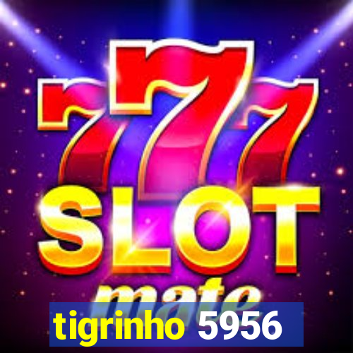 tigrinho 5956